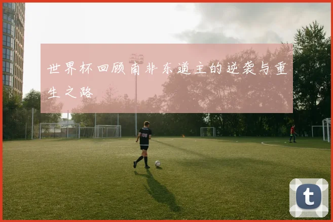 世界杯回顾南非东道主的逆袭与重生之路